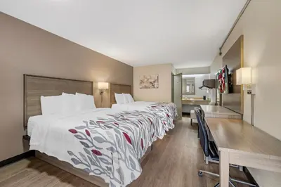 a hotel room with a large bed and a desk at Red Roof Inn Parsippany in Parsippany