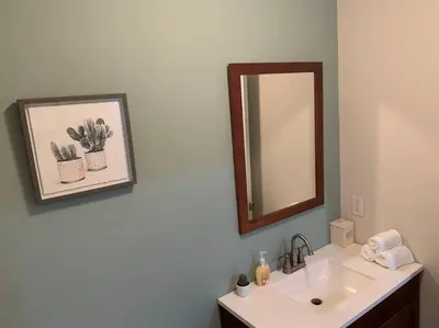 a bathroom with a sink and a mirror at Center City Roofdeck Hot Tub w Garage in Philadelphia