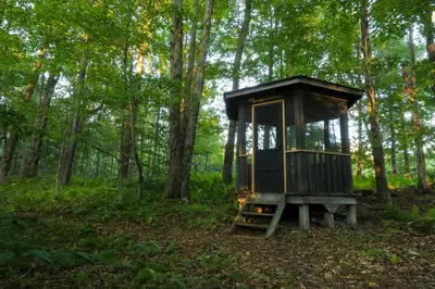 a tree house in the middle of a forest at Modern Hideaway with Deck and State Forest Access in Livingston Manor