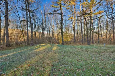 a field with trees and grass in a forest at Resort Perks and Lake Access Poconos Retreat in Pocono Summit