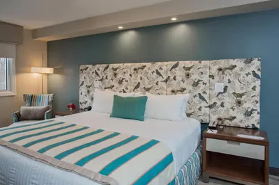 a bedroom with a large bed with a blue wall at The Kenilworth Hotel - Airport West in Kenilworth
