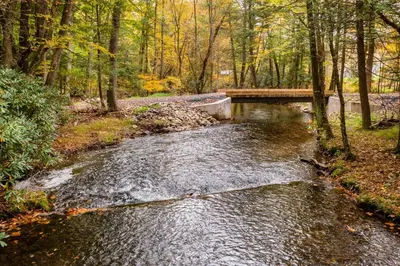 a stream of water with a bridge in a forest at 13 Mi to Camelback Ski! Creekside Lincoln Lodge in Brodheadsville