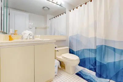 a bathroom with a toilet and a shower curtain at Camelback 69 in Tannersville
