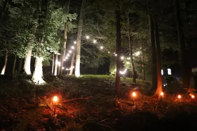 a forest at night with lights in the grass at Escape in our Rain-Forest A-Frame Retreat with Hot Tub at The Kairos Cabin in Harveys Lake