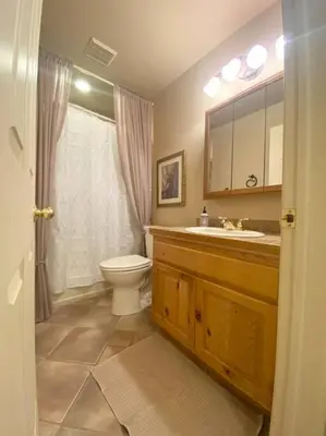a bathroom with a toilet and a sink at NEW Contemporary Chalet 5 Bed/3 Bath in Split Rock in Lake Harmony