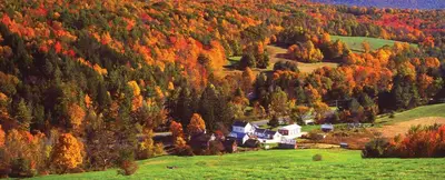 an autumn view of a house in a forest at Charming 120-year-old farmhouse by the creek. in Starlight