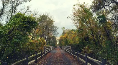 a dirt road with a fence on the side at Lewisburg duplex in Lewisburg