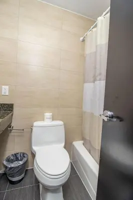 a bathroom with a white toilet and a shower at Canal Loft Hotel in New York