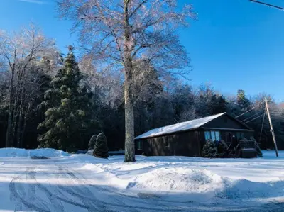 a tree in the snow next to a cabin at Catskills Cottage with Lake View Book Now in Rock Hill