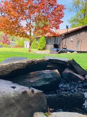 a pond with rocks in a yard with a tree at Catskills Cottage with Lake View Book Now in Rock Hill
