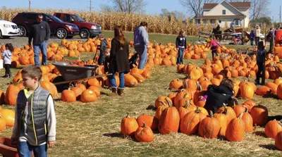 a group of people standing around a bunch of pumpkins at 2 Lake Cabins Poolhottub Game Room & Courts in Highland Lake