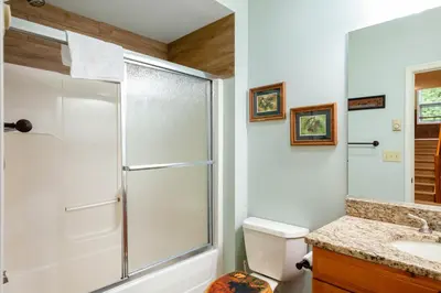 a bathroom with a shower and a toilet and a sink at Kelto Kabin in Lake Harmony