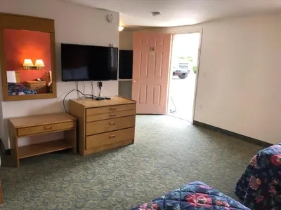 a hotel room with a television and a dresser with a bed at DEEPWELL MOTEL in Owego