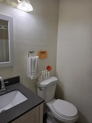 a bathroom with a white toilet and a sink at Stardust Motel in Duncannon