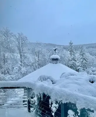 a snow covered roof of a house with snow on it at The Blue House On The Hill Catskills—Views in Claryville