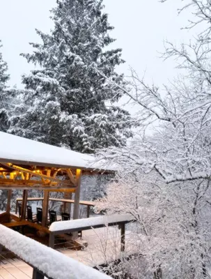 a snow covered tree in front of a cabin at The Blue House On The Hill Catskills—Views in Claryville