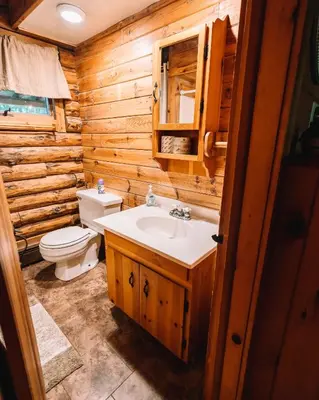 a bathroom with a toilet and a sink at Afton Cabin in Afton