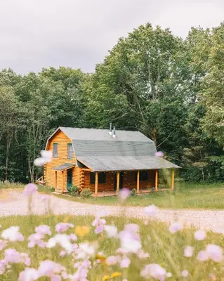 a wooden house with a black roof in a field at Afton Cabin in Afton