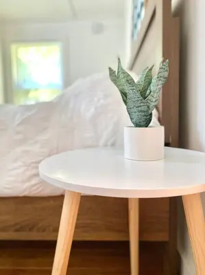 a white table with a potted plant on top of it at The Cabin @ Benton Hollow in Livingston Manor