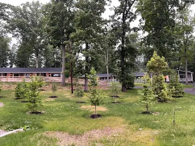a garden of trees in front of a building at New Hope Lodge in New Hope