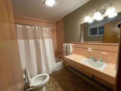 a bathroom with a toilet and a sink and a mirror at New Hope Lodge in New Hope