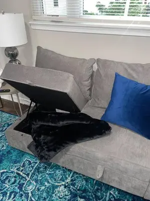 a dog laying on a couch in a living room at THE ROOFTOP OASIS in Philadelphia