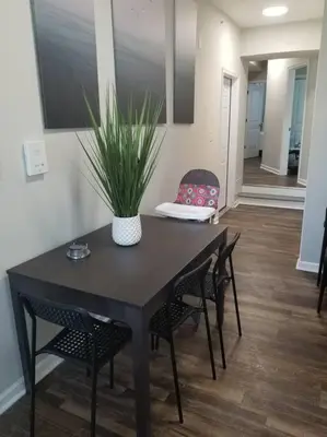 a black table with chairs and a plant in a room at THE ROOFTOP OASIS in Philadelphia
