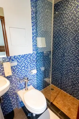 a blue tiled bathroom with a toilet and a shower at JG Sohotel in New York