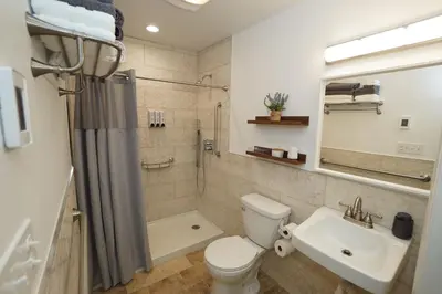 a bathroom with a toilet and a sink and a shower at ADA-accessible, newly remodeled 3-BR/2-Bath Home in Tobyhanna