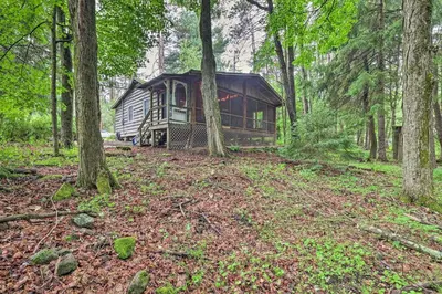 a cabin in the middle of a forest at Cabin with Trails and Creek! 23 Mi to Camelback Slopes in Greentown