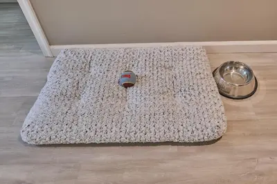 a white rug on the floor with a dog bowl at Spacious Catskills Serenity nearby Delaware River Gap w Game Rm Pet Friendly and Fenced Yard in Glen Spey