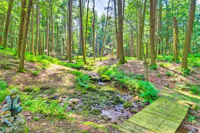 a wooden path through a forest with a creek at Secluded and Quiet Pocono Mountain Cabin with Hot Tub! in Kunkletown