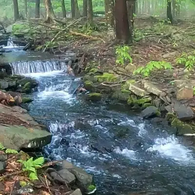 Romantic Pocono house - stream