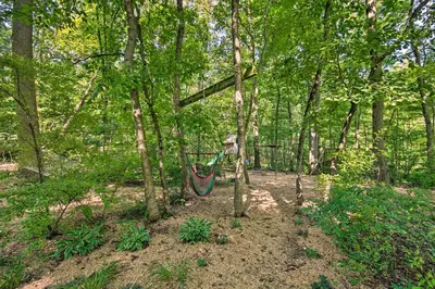 a hammock hanging from a tree in the woods at Cozy Garden Room in Welsh Mountain Suites! in New Holland