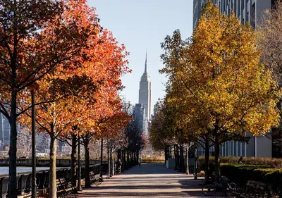 a tree lined sidewalk with a view of the city at Dharma Home Suites Hoboken in Hoboken