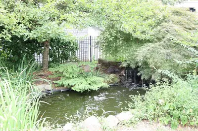 a garden with a pond and trees and a fence at VAAST Bed & Breakfast in Adamstown