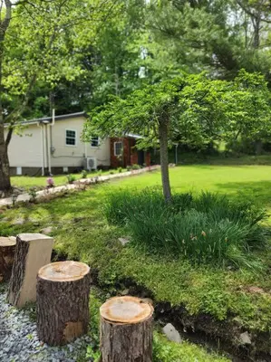 a yard with three tree stumps in front of a house at Serene 3-Bedroom Home with Dome, Hot Tub, Sauna in Hurleyville