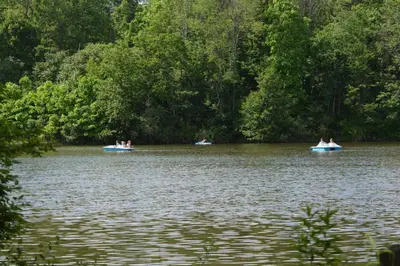 people are riding in boats on a lake at Lakewood Park Campground - Luxury Cabin in Barnesville