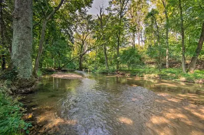 a stream in the middle of a forest with trees at 3-Acre Property Charming Dutch Country Colonial in Reading
