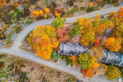 an overhead view of a road with trees and cars at Big Boulder Base Camp in Lake Harmony