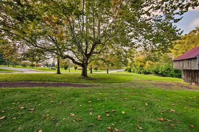 a tree in a field next to a barn at Beautiful Historic House In Amish Country in Ephrata