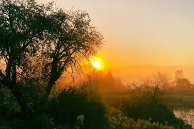 a sunset over a field with a tree in the foreground at Hamden Hill House in Hamden