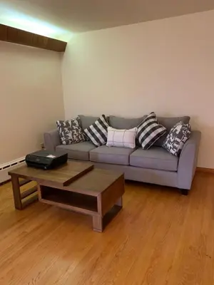a living room with a couch and a coffee table at New Brunswick NJ Master Bedroom with private bath in New Brunswick