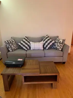 a living room with a couch with pillows and a coffee table at #3 QueenSize Bed bright room near New Brunswick NJ downtown in New Brunswick
