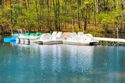 a row of white boats parked in the water at Midlake Memories in Lake Harmony