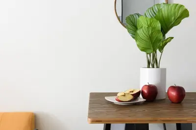 a table with two apples and a vase with a plant at 24-14 Renovated studio Prime gramercy W D in New York