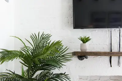 a tv hanging on a wall with two plants at 24-14 Renovated studio Prime gramercy W D in New York