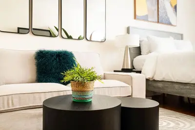 a living room with a couch and a table with a plant on it at 338-3B union square Newly Reno Sleeps 3 in New York