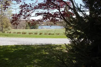 a lake in a field with a tree in the foreground at Private Lakeview Cottage and 2 Farmhouse Apartments near Rt 80 easy to NYC in Blairstown
