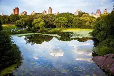 a pond in a park with a city in the background at Park Side Living, Get Cozy! in New York